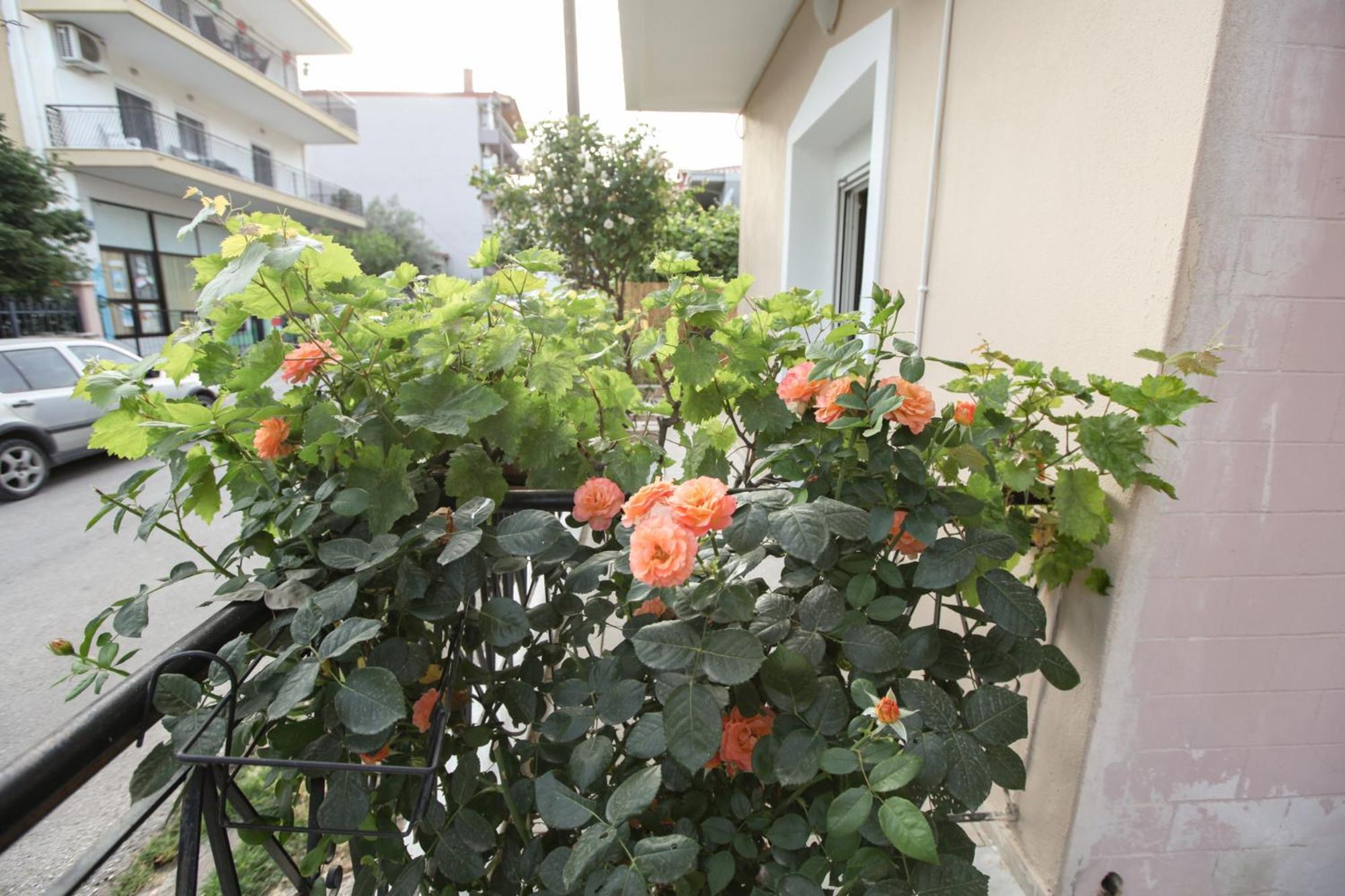 Meteora Family Dream Apartment Kalampáka Ngoại thất bức ảnh